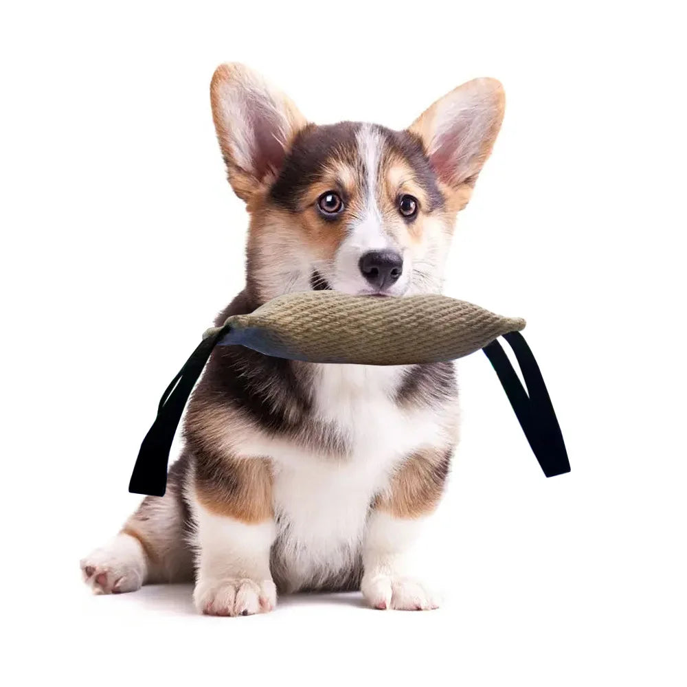 Palillo de cáñamo para morder para adiestramiento de perros, palito para morder Diao, molares, almohada para morder, sarga duradera, yute, suministros para mascotas, juguetes interactivos 