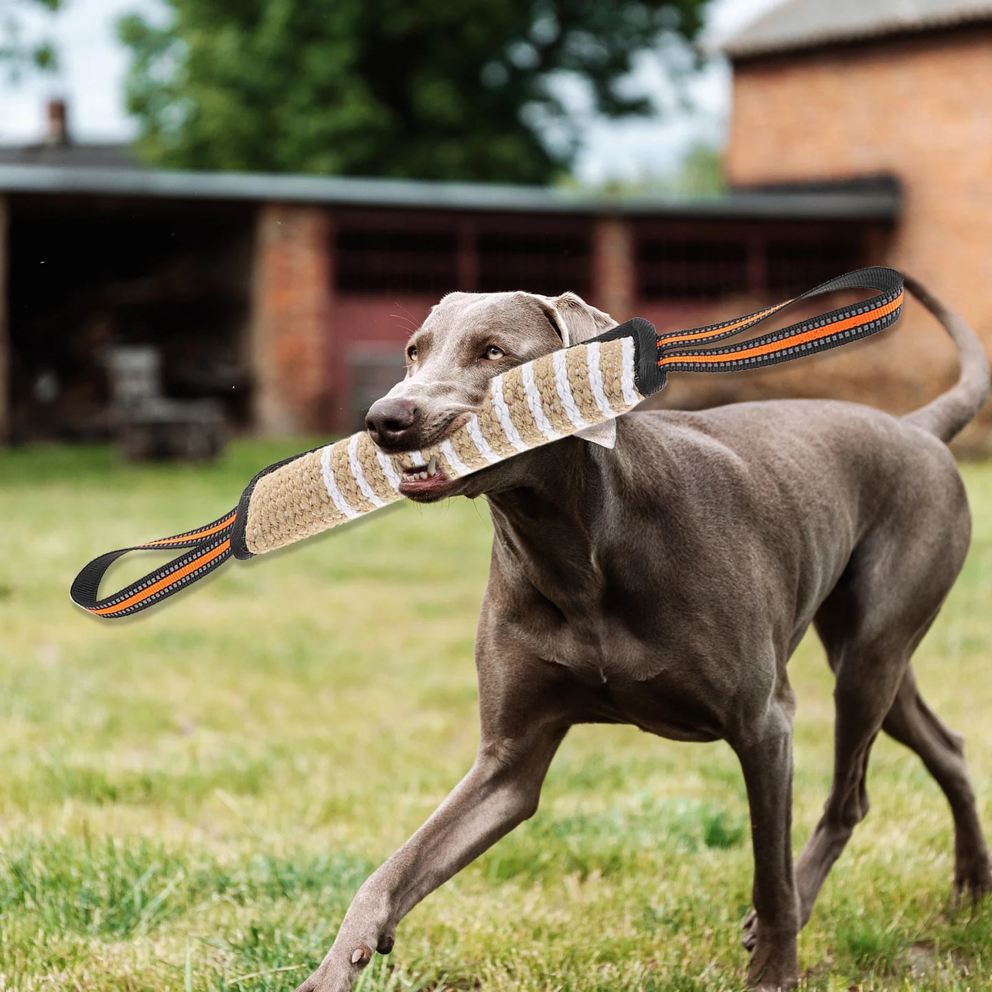 Palo de entrenamiento para morder para perros, juguete interactivo para perros pequeños, masticables de cáñamo, para rechinar los dientes, suministros para mascotas 
