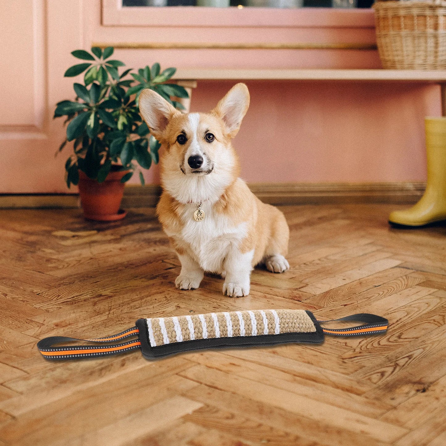 Palo de entrenamiento para morder para perros, juguete interactivo para perros pequeños, masticables de cáñamo, para rechinar los dientes, suministros para mascotas 