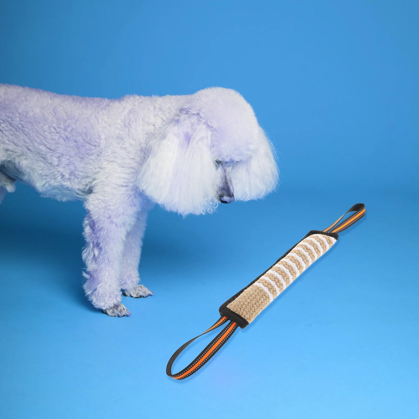 Palo de entrenamiento para morder para perros, juguete interactivo para perros pequeños, masticables de cáñamo, para rechinar los dientes, suministros para mascotas 